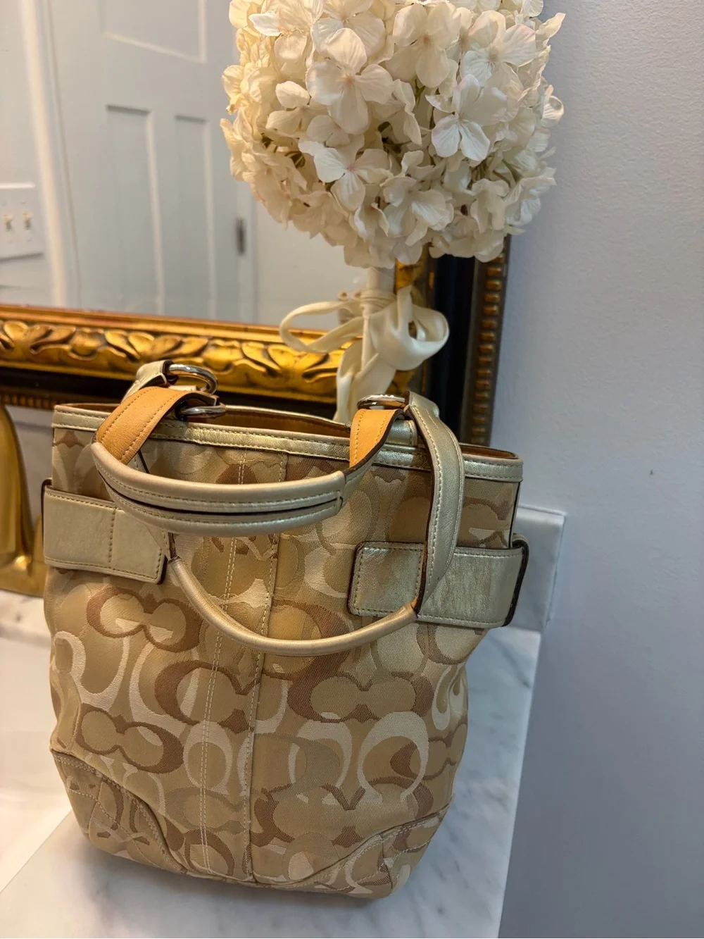 Coach soho signature